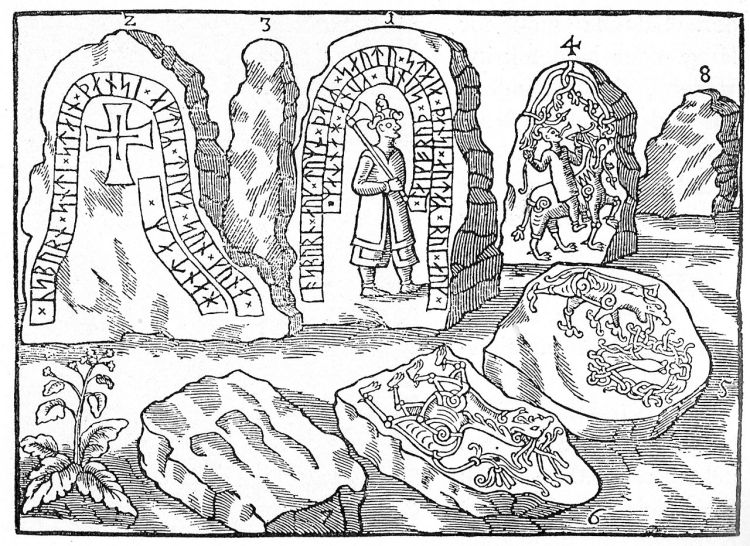 Ole Worm’s etching of the Hunnestad stones